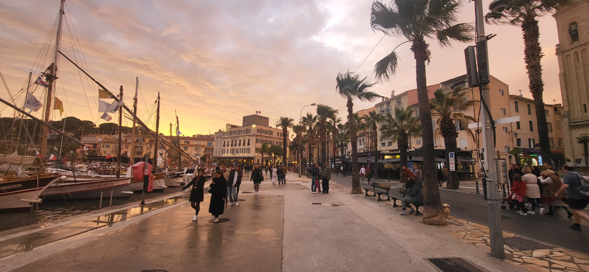 Sanary harbour at sunset, palm trees and boats still in a light evening breeze