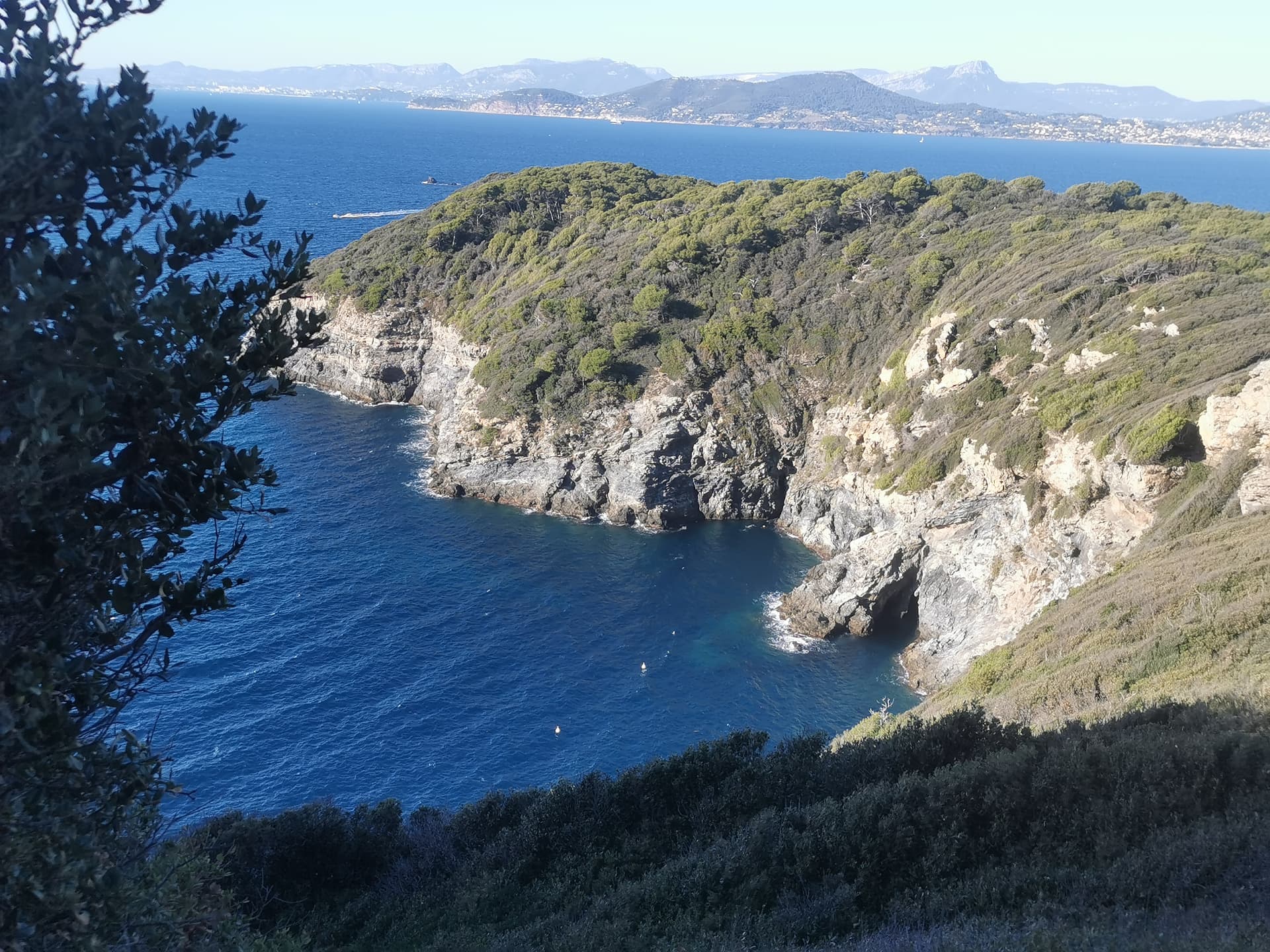 Rocky pine-covered cove on the Giens peninsula, with the Var coast and hills across the bay