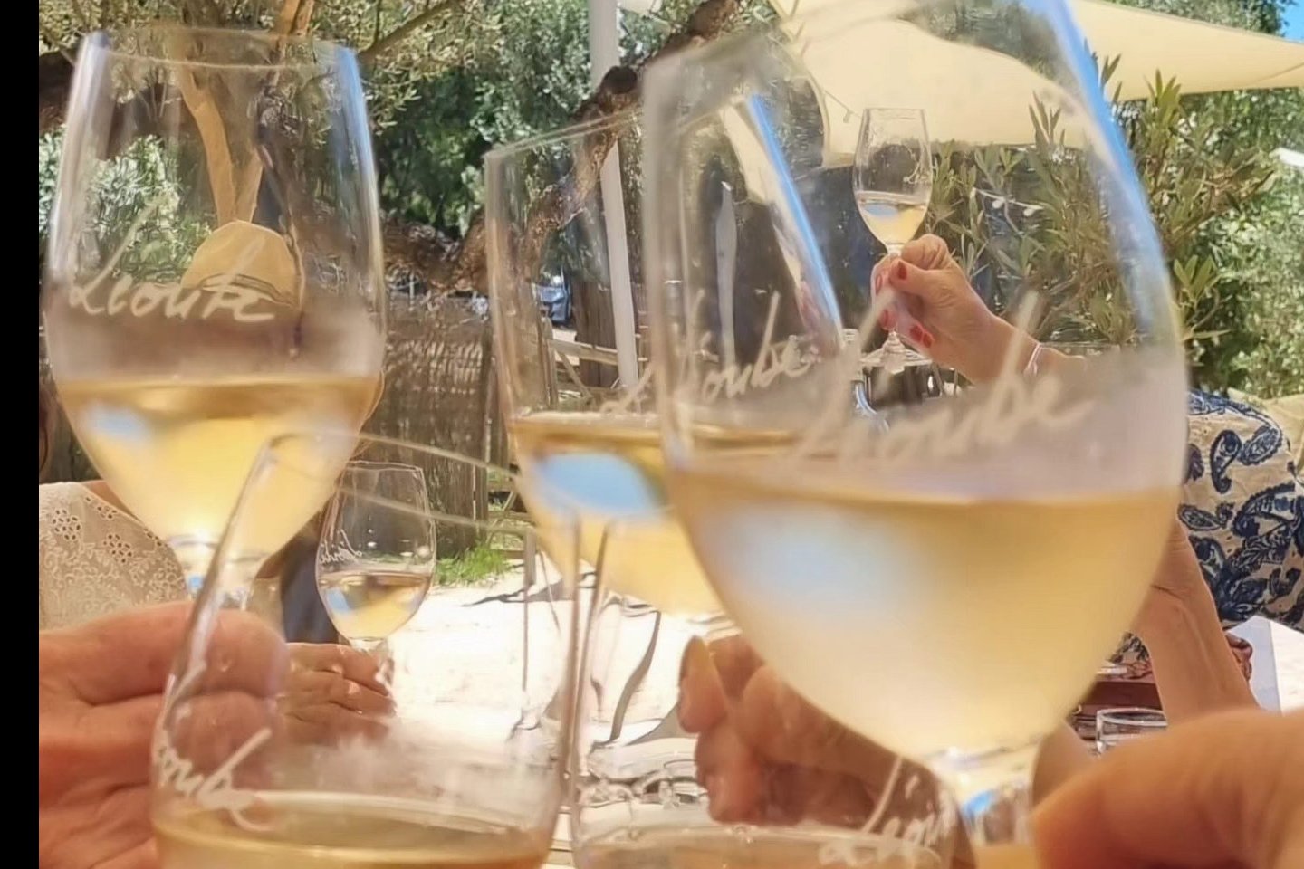 Test the wines of Leoubé at the restaurant on the beach. The food is delicious!